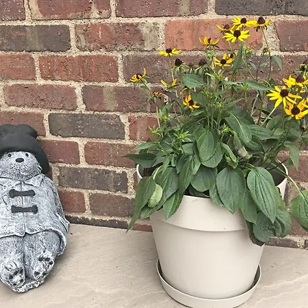 Дом отдыха Centre Town House With Views And Free Parking 7fsbi Йорк